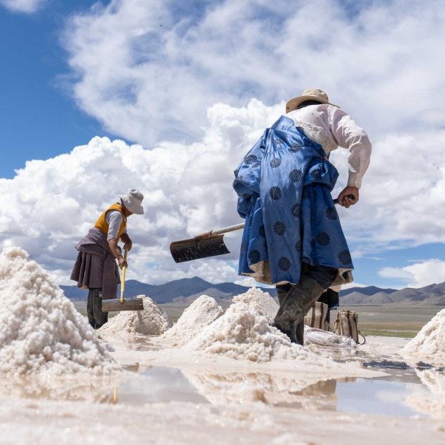 Xizang's regional GDP expected to exceed 300 billion yuan this year